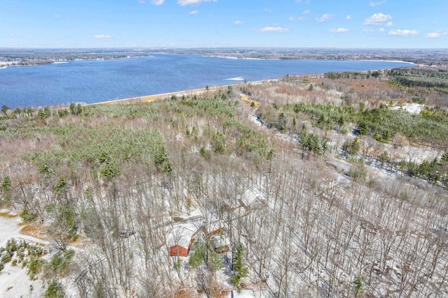 3853 County Rd E, Junction City, WI 54443 - aerial view of property and surrounding area with a large body of water