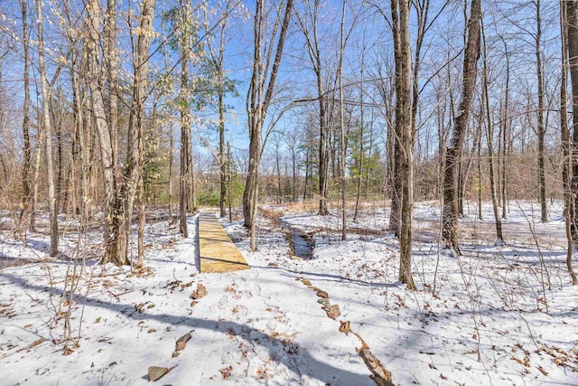 3853 County Rd E, Junction City, WI 54443 - view of yard layered in snow