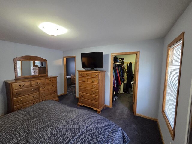 246 Golliher Ct, Westfield, WI 53964 - bedroom with dark carpet, a closet, baseboards, and a spacious closet