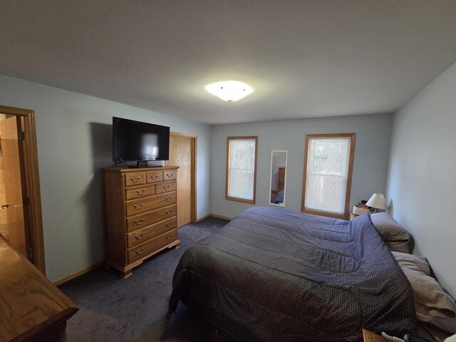 246 Golliher Ct, Westfield, WI 53964 - bedroom featuring baseboards and dark carpet