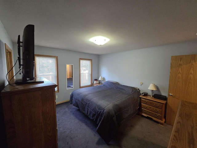 246 Golliher Ct, Westfield, WI 53964 - bedroom with dark colored carpet and baseboards