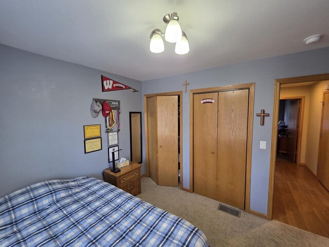 246 Golliher Ct, Westfield, WI 53964 - bedroom featuring visible vents and carpet floors