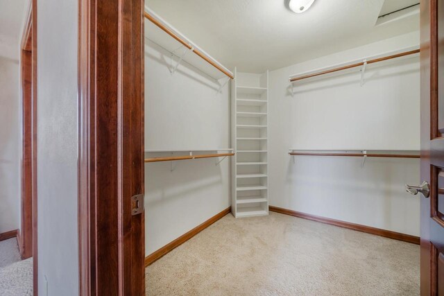 3895 Shorebird Ct, Oshkosh, WI 54904 - spacious closet with carpet flooring