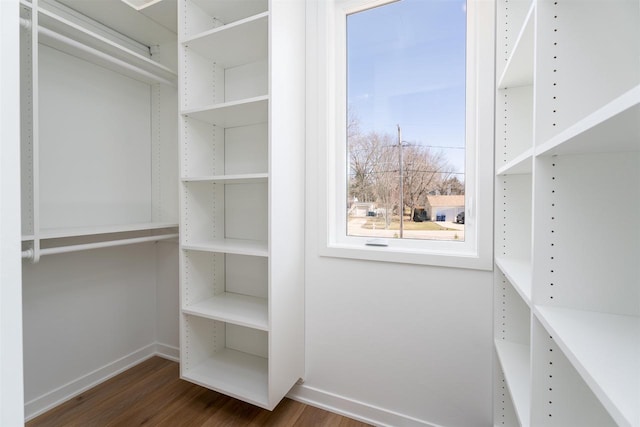spacious closet featuring wood finished floors