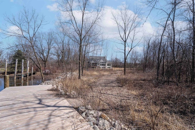 view of yard featuring a boat dock