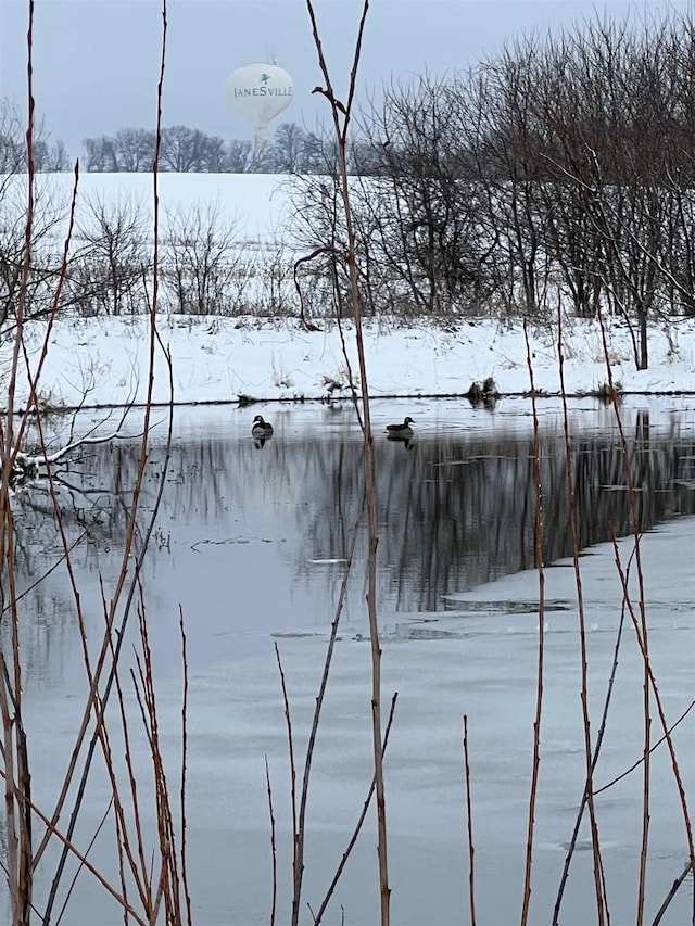 1817 Arboretum Dr, Janesville, WI 53548 - water view