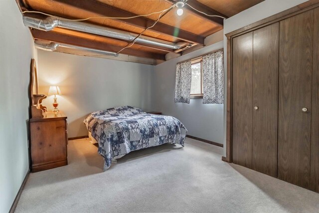 N10368 Queens Way Way, Necedah, WI 54646 - bedroom with a closet, baseboards, and carpet floors