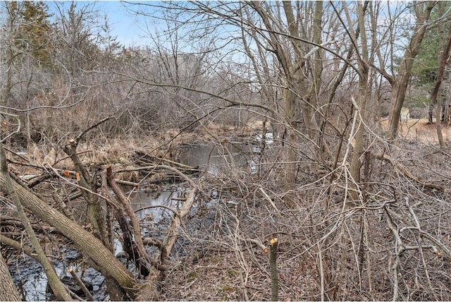 view of local wilderness