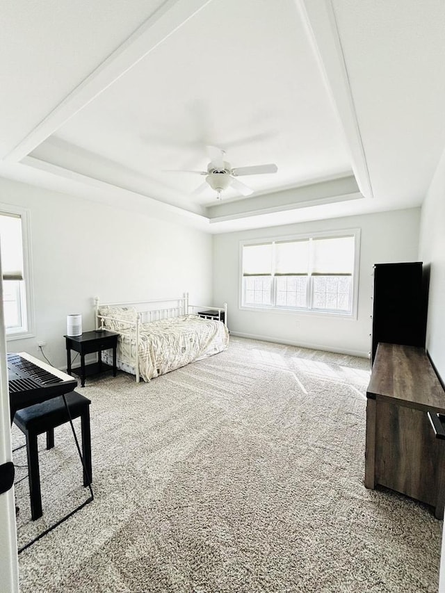W330S8380 Isabelle Dr, Mukwonago, WI 53149 - bedroom with carpet, a tray ceiling, and ceiling fan