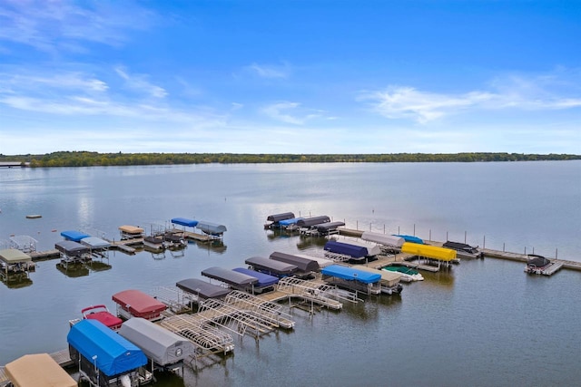 2009-1 S Czech Ct Unit 0901, Arkdale, WI 54613 - water view