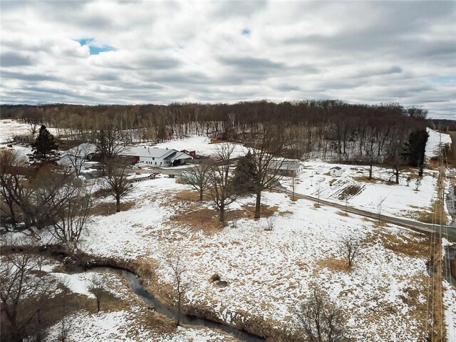 1632 280th Ave, Luck, WI 54853 - view of snowy yard