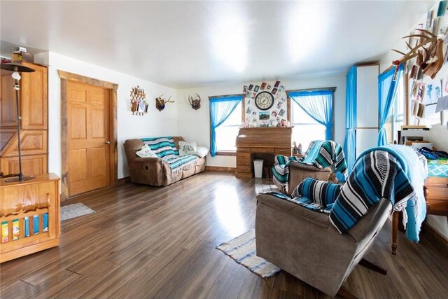 1632 280th Ave, Luck, WI 54853 - living room featuring baseboards and wood finished floors