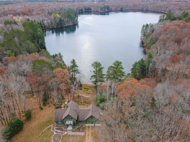 6579 Maple Tree Rd, Crescent, WI 54501 - birds eye view of property with a water view and a wooded view