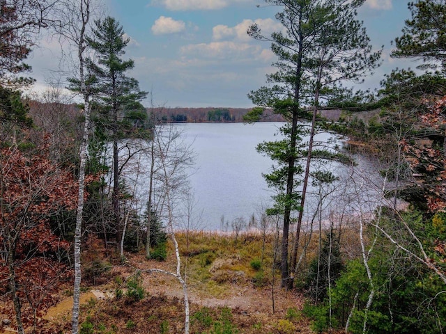 6579 Maple Tree Rd, Crescent, WI 54501 - property view of water with a wooded view