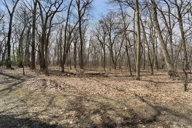 N5120 Summit Ct, Fond Du Lac, WI 54937 - view of local wilderness