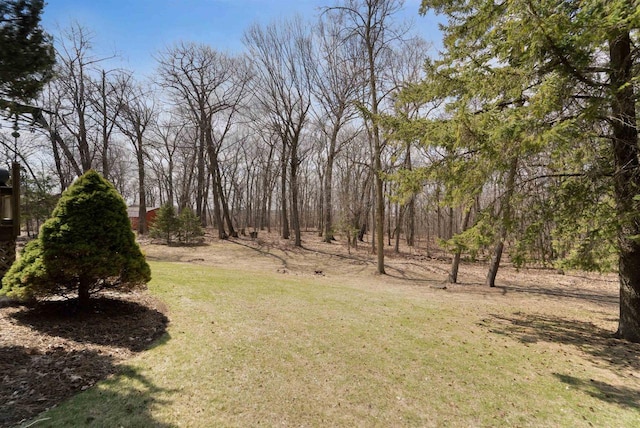 N5120 Summit Ct, Fond Du Lac, WI 54937 - view of yard