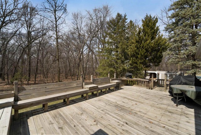 N5120 Summit Ct, Fond Du Lac, WI 54937 - view of wooden deck
