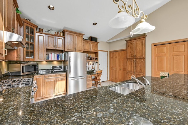kitchen with lofted ceiling, open shelves, a sink, appliances with stainless steel finishes, and under cabinet range hood