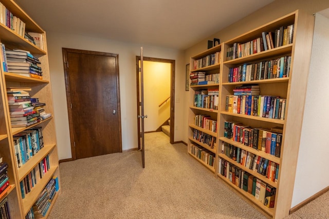 421 Nature Haven Blvd Unit 15, Kewaskum, WI 53040 - living area with baseboards, bookshelves, and carpet