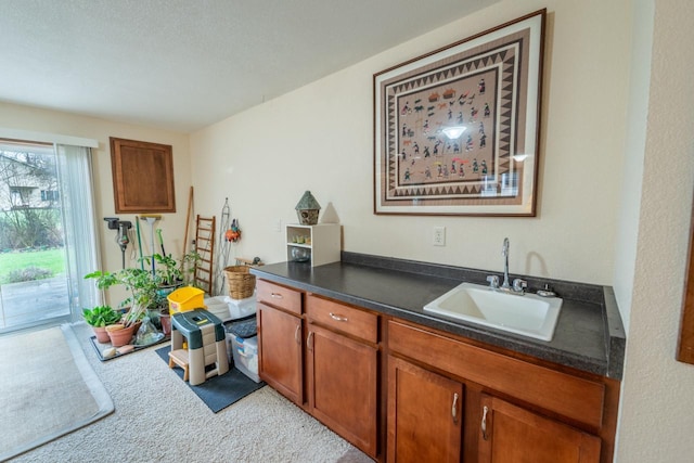 421 Nature Haven Blvd Unit 15, Kewaskum, WI 53040 - bar featuring a sink and carpet floors