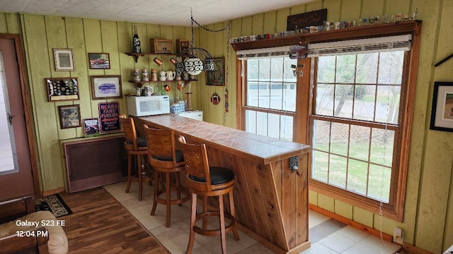 755 Brickley Dr, Fontana, WI 53125 - bar featuring white microwave, light wood-type flooring, a dry bar, and a wealth of natural light