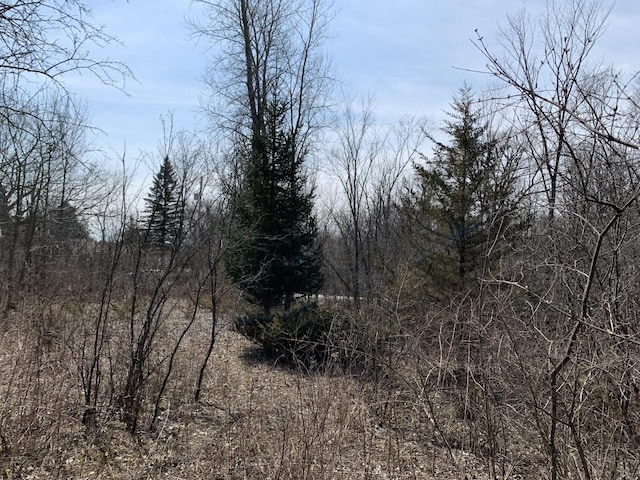 LT6 Lake Dr, Campbellsport, WI 53010