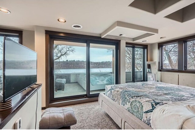 1020 Lake St, Prescott, WI 54021 - bedroom with recessed lighting and visible vents
