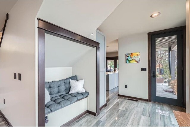 1020 Lake St, Prescott, WI 54021 - entrance foyer with visible vents, a wealth of natural light, light wood finished floors, and baseboards