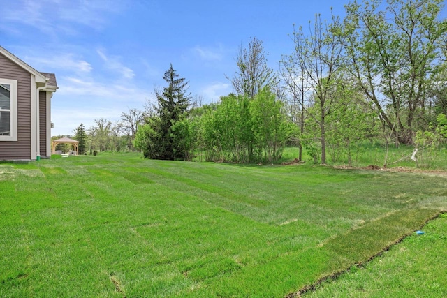743 Brockway Dr Unit Lt37, Mukwonago, WI 53149 - view of green lawn