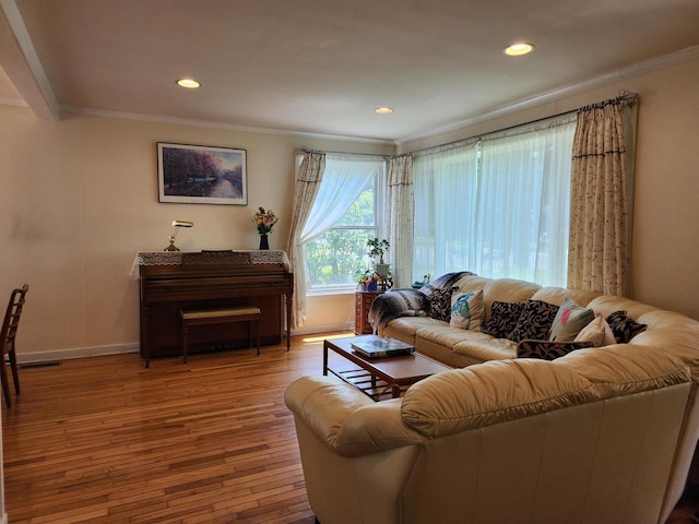 201 N Owen Dr, Madison, WI 53705 - living room featuring crown molding, hardwood / wood-style flooring, baseboards, and recessed lighting