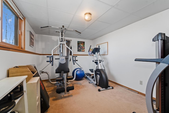 workout room with carpet flooring, a drop ceiling, and baseboards