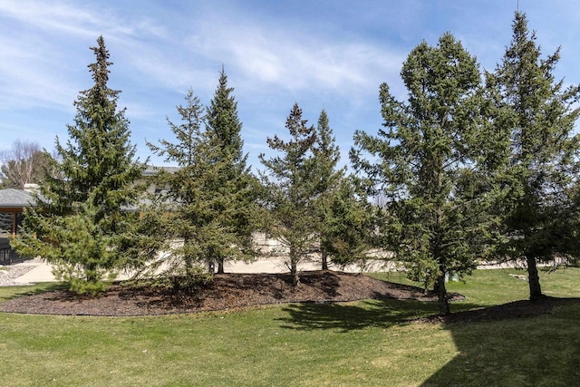 1105 Meadow Mist Rd, Middleton, WI 53562 - view of yard