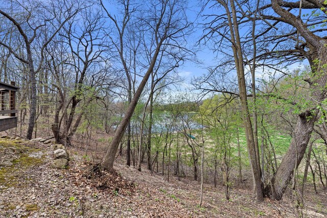 view of landscape featuring a view of trees