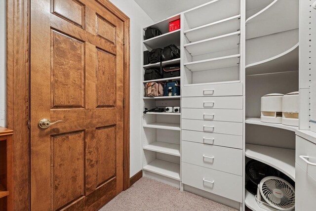 spacious closet featuring carpet