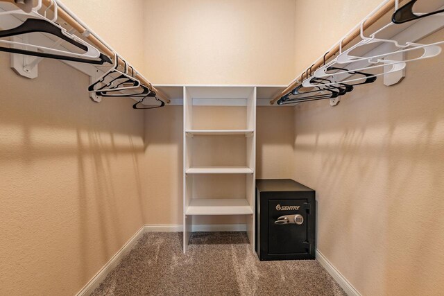 W209N11385 Reger Ct, Germantown, WI 53022 - walk in closet featuring carpet