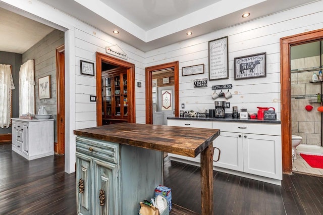 158 E Water St, Shullsburg, WI 53586 - bar featuring dark wood-style flooring, recessed lighting, and wooden walls