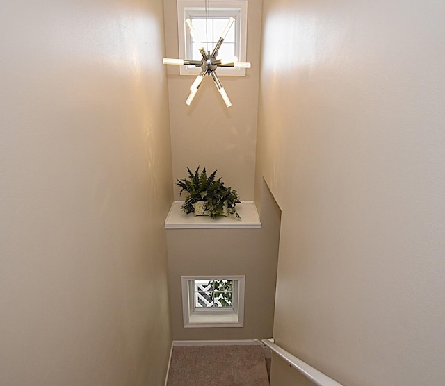 room details with carpet flooring