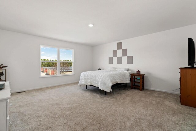 708 Narvik Cir, Stoughton, WI 53589 - bedroom with carpet and baseboards