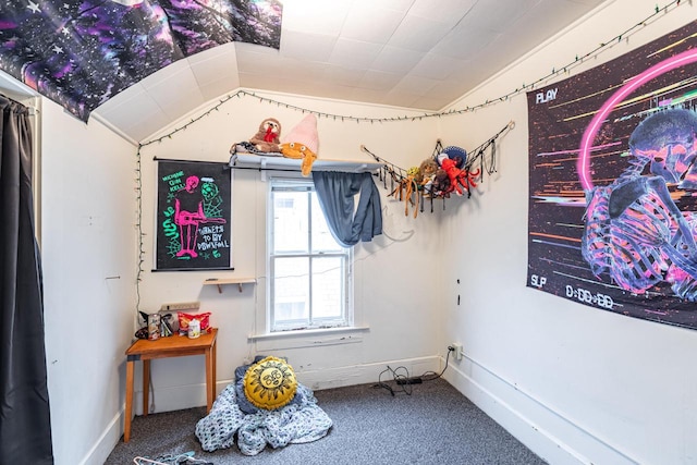 bedroom with lofted ceiling, baseboards, and carpet floors