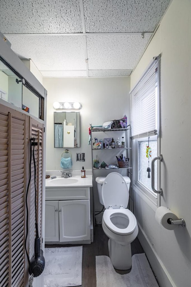 bathroom featuring vanity, a drop ceiling, toilet, and wood finished floors