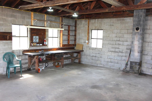 W7675 Moonshine Hill Rd, Wausaukee, WI 54177 - basement featuring a workshop area and concrete block wall