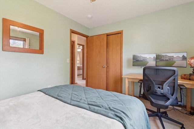 178 Weybridge Dr, Sun Prairie, WI 53590 - bedroom featuring a closet and carpet