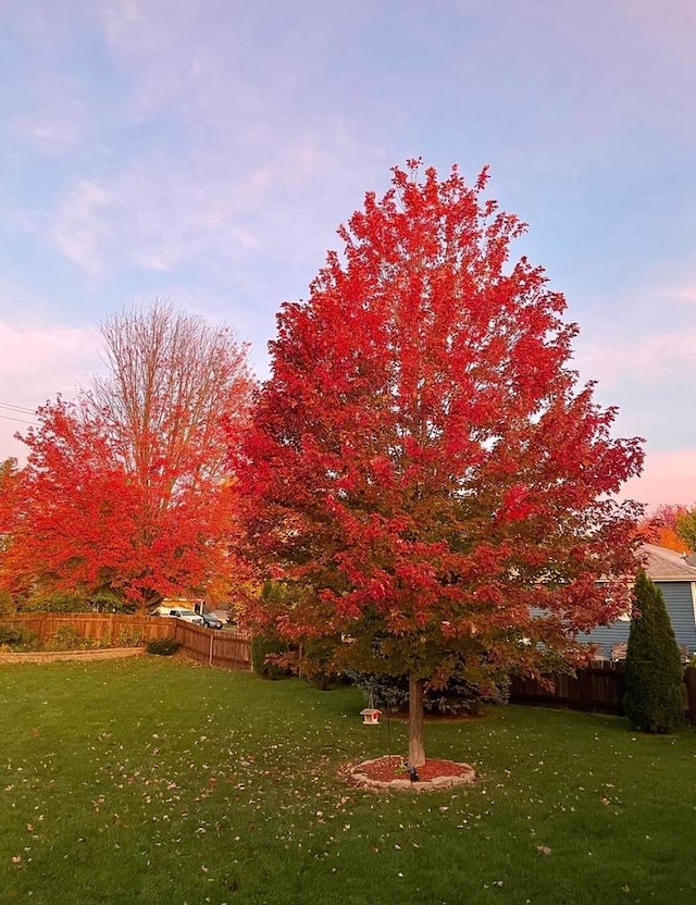 178 Weybridge Dr, Sun Prairie, WI 53590 - view of yard