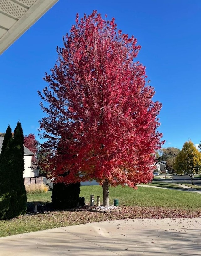 178 Weybridge Dr, Sun Prairie, WI 53590 - surrounding community with a yard