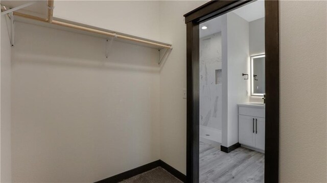 LOT3 510th Ave, Menomonie, WI 54751 - spacious closet with light wood-type flooring and a sink