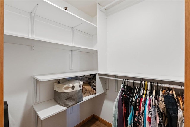 view of walk in closet