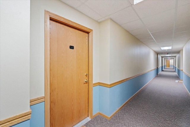 hall featuring carpet, baseboards, and a paneled ceiling