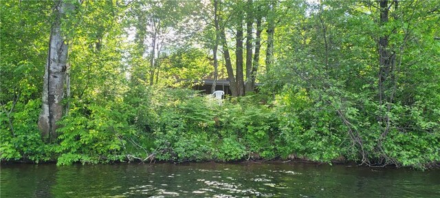6009 W Dobbert Rd, Winter, WI 54896 - property view of water