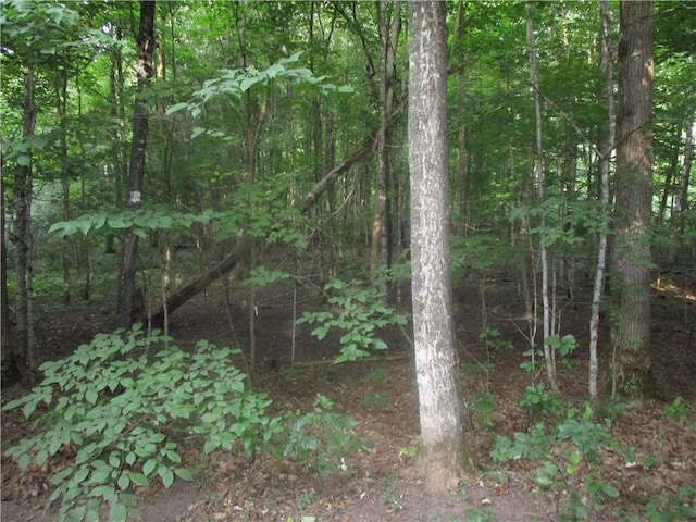 2757 28 1/4 St, Birchwood, WI 54817 - view of nature featuring a forest view