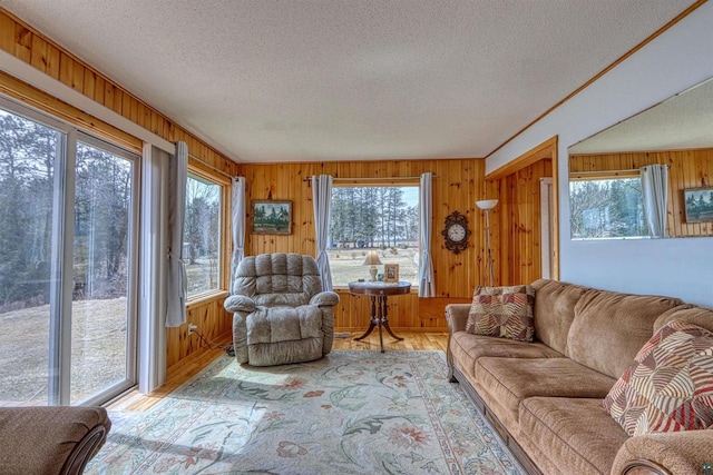 10439 W County Highway D, Exeland, WI 54835 - living room with wooden walls, wood finished floors, and a textured ceiling